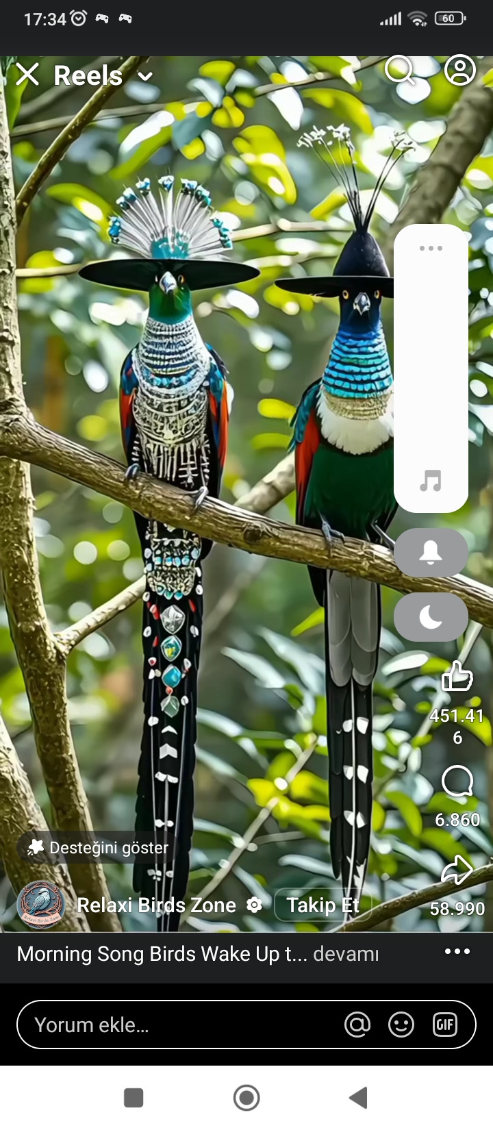 Investor Image Missing